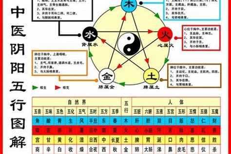 人的五行怎么看|怎么看自己的五行属性？五行缺哪一行最不好？